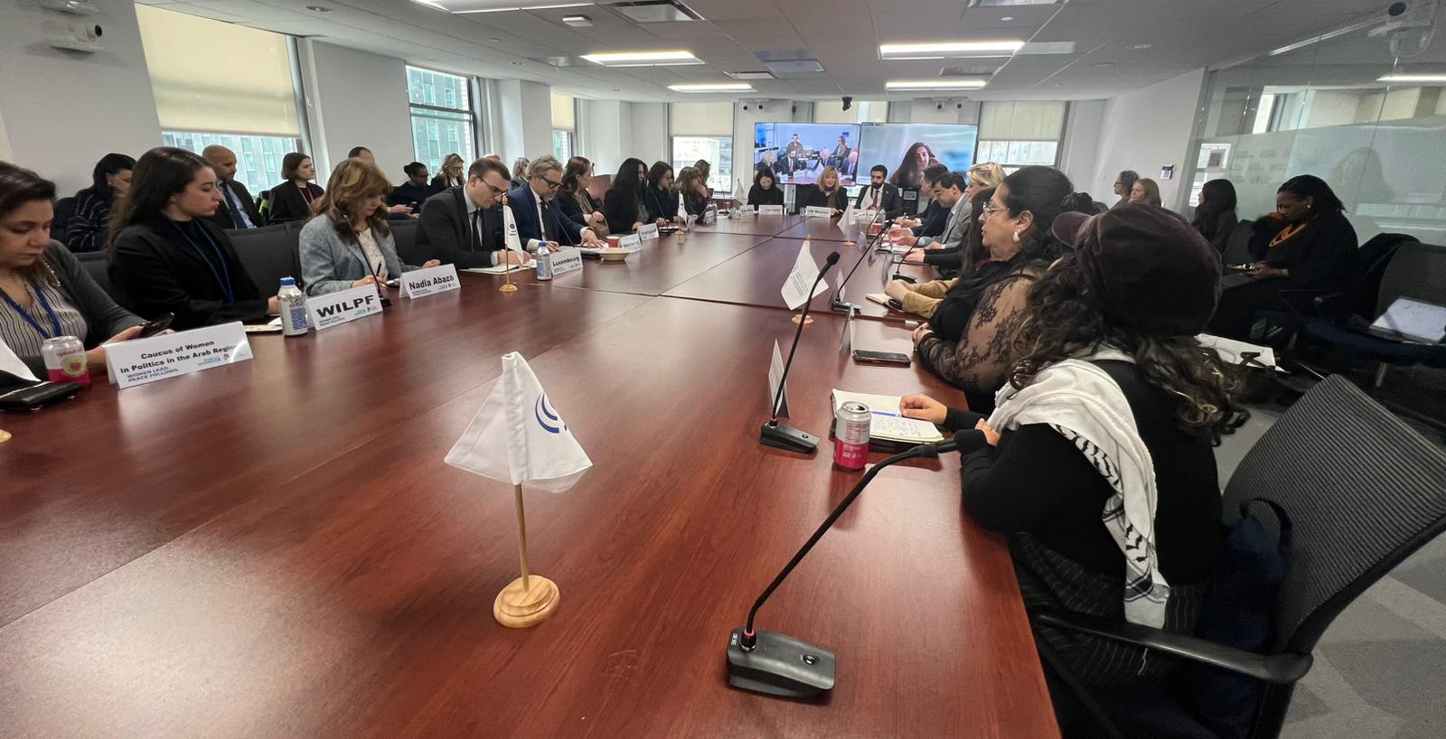 Protection of Women, Access to Justice, and Political Participation (CSW70)